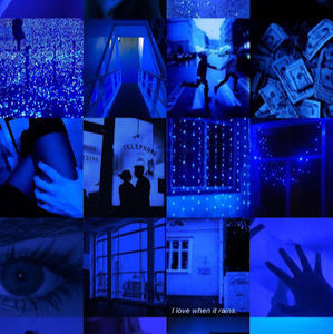 Meet your Posher, Shaunice